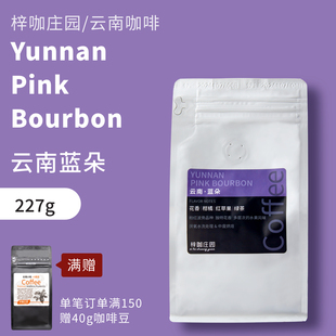 梓咖庄园新鲜烘焙云南小粒咖啡豆蓝朵厌氧水洗处理手冲咖啡豆227g