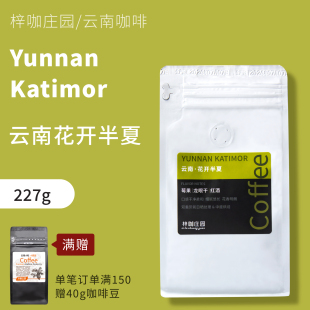 梓咖庄园云南花开半夏双重厌氧日晒小粒咖啡豆精品手冲咖啡豆227g