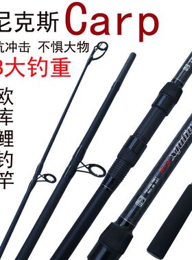 跨境欧鲤并继远投竿海杆三节4磅3.3/3.6/3.9m海竿CARP 超硬路亚竿