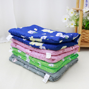 夏季宠物垫子猫咪狗狗卡通被子汽车车载垫寄养垫子换洗垫薄款笼子