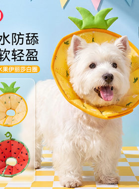 宠物伊丽莎白圈猫咪狗卡通