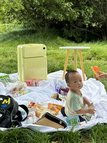 Универсальный чемодан, 20 дюймов