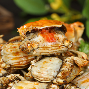 香辣蟹 小闸蟹大罐装350克小螃蟹大罐装熟食 公全母蟹海鲜熟食