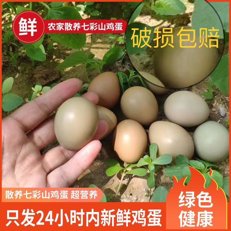 鸡蛋 山鸡蛋七彩鸡蛋宝贝必须补品 七彩山鸡蛋 30枚 60枚包邮到家
