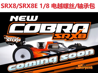 SERPENT 蛇仔 SRX8/SRX8E 1/8 电动越野车12.9级螺丝轴承维修包