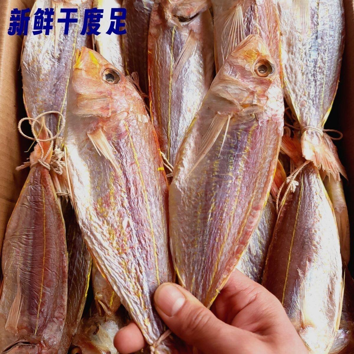 阳江特产红杉鱼干正宗红三自晒风干鱼海鲜干货特产咸鱼水产干货