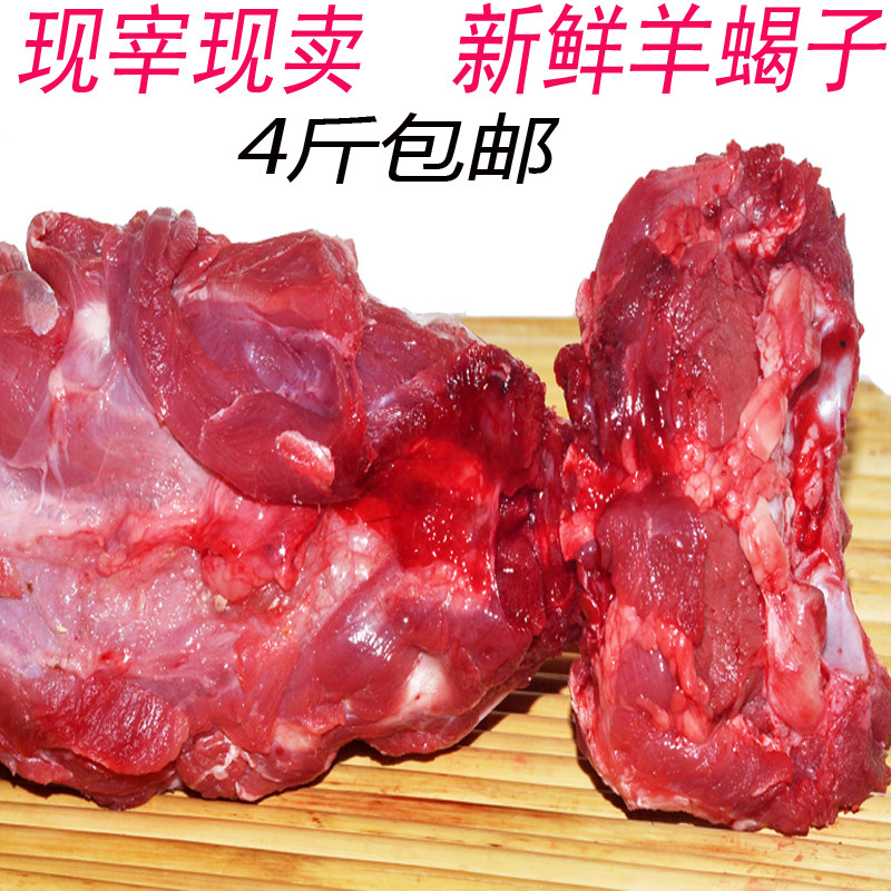 清真食品现宰现卖新鲜血脖子羊蝎子羊龙骨背骨羊尾骨肉多山排全杂