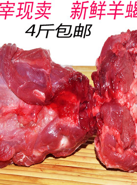 新鲜羊蝎脖子骨蝎子骨带肉多骨髓