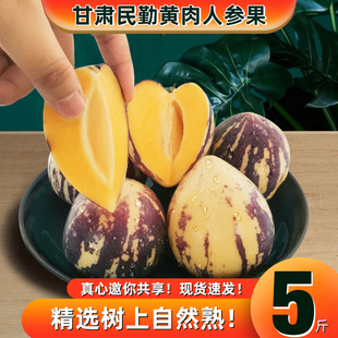 顺丰包邮甘肃民勤沙漠黄肉低糖清甜人参果特大新鲜果10斤包邮现摘