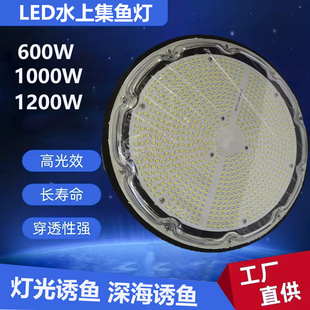 LED诱鱼灯集鱼灯捕鱼灯船用LED灯具