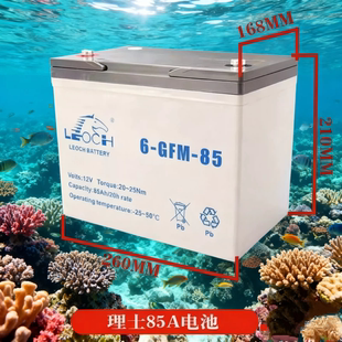 电动搬运车小金刚电瓶免维护蓄电池6-EVF-65/80