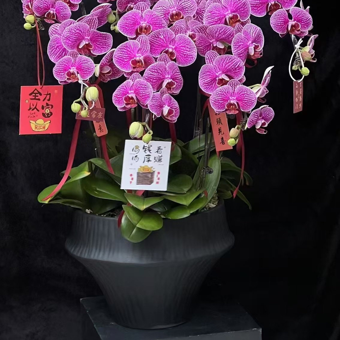 淘器花盆批发 花盆高脚北欧极简风桌面家居陶瓷蝴蝶兰高档轻奢,家居饰品,花盆,淘宝优惠券,粉丝福利购,淘宝优惠卷