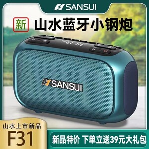 山水F31便携蓝牙音箱重音响插卡数字点播RGB炫彩灯太极拳骑行户外