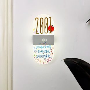 小红书同款diy五月天入户门牌号码家用磁吸发光门牌新家门装饰