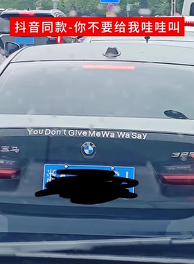 You Don't Give Me Wa Wa Say你不要给我哇哇叫汽车贴纸创意文字