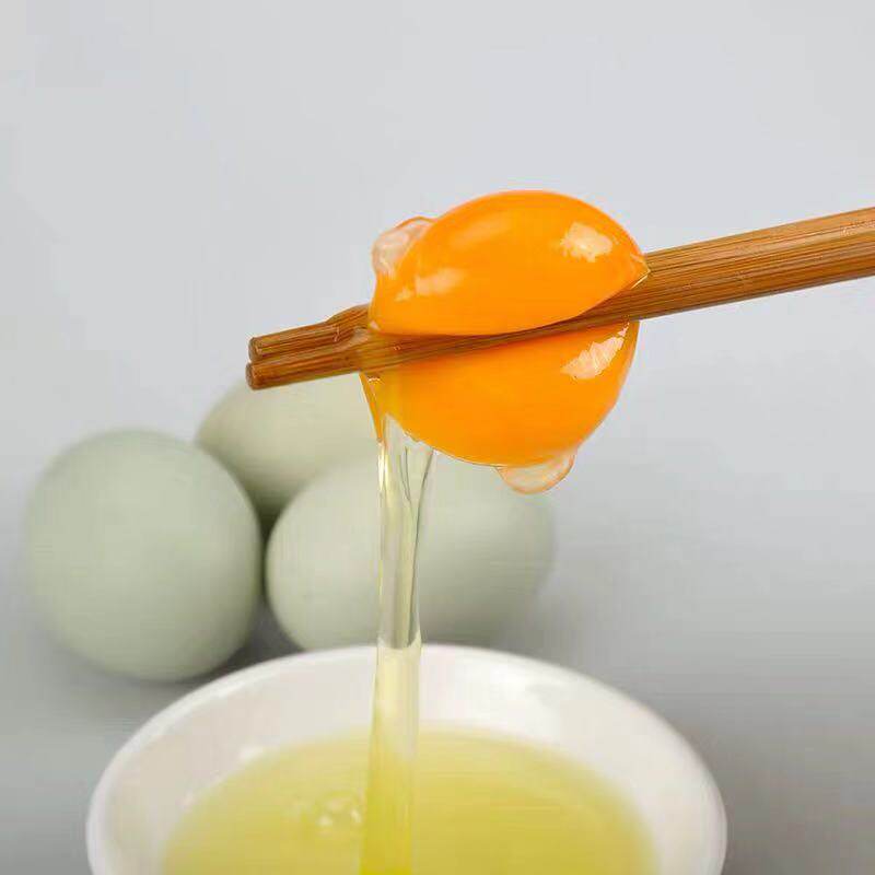 蓟县特产柴鸡蛋绿壳蛋散养土鸡蛋鸡蛋