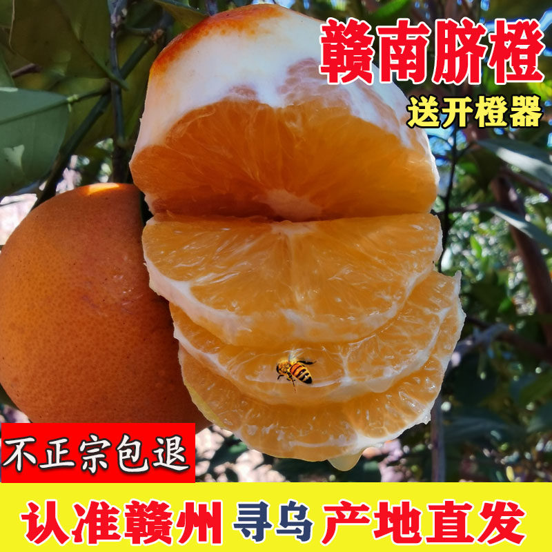 正宗赣南脐橙10斤新鲜水果孕妇水果纯甜无渣赣州橙子10斤包邮,水产肉类/新鲜蔬果/熟食,橙,淘宝优惠券,粉丝福利购,淘宝优惠卷