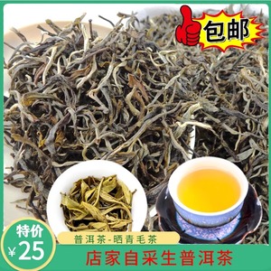 云南特产普洱茶生茶特级散茶叶2024年春茶大叶种花香晒青毛茶包邮