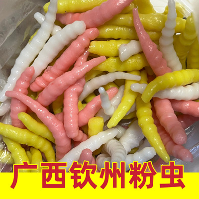 广西钦州特产粉虫彩色粉利灵山禾虫真空包装