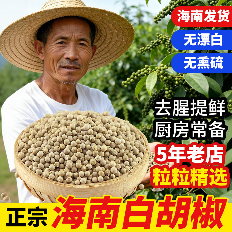 正宗海南白胡椒煲汤特级