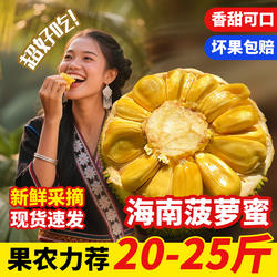 海南菠萝蜜一整个批发干苞新鲜大果当季现摘三亚保亭特产老树果