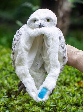 哈利波特海德薇猫头鹰帽子发箍