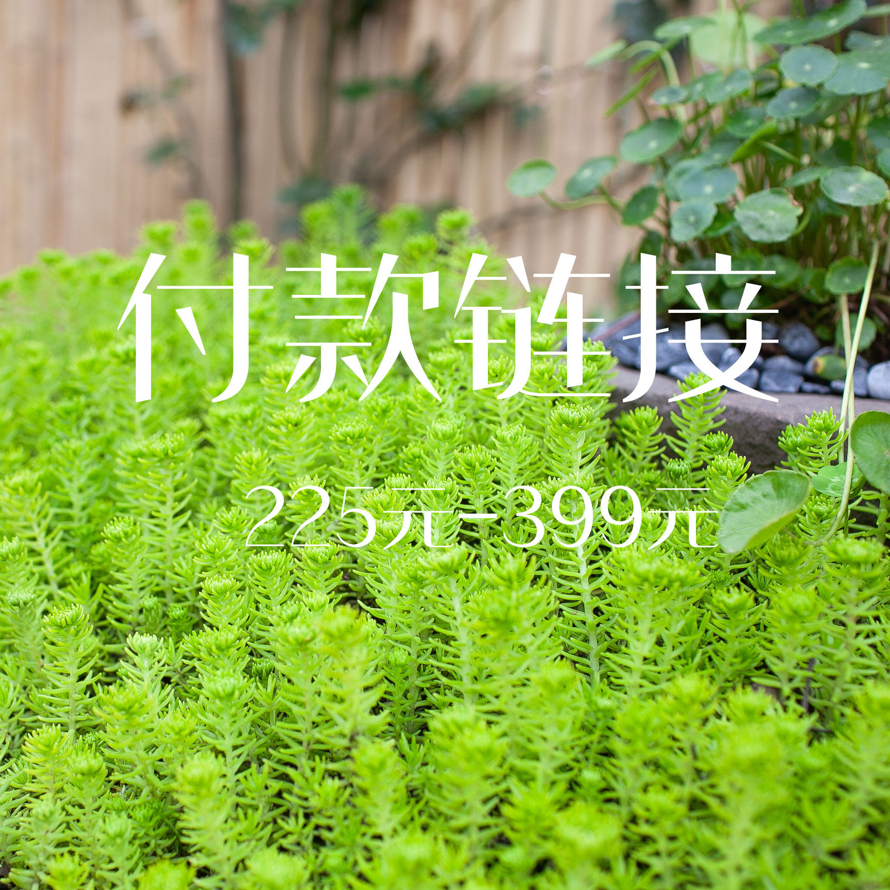 扣号225元-399元季新款复古文艺民族风新中式亚麻绣花刺绣连衣裙
