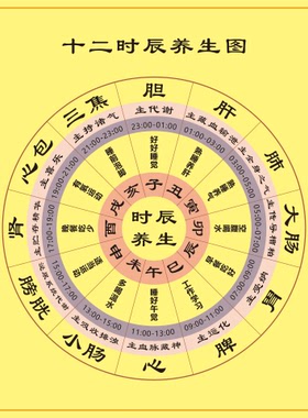 十二时辰养生知识装饰贴