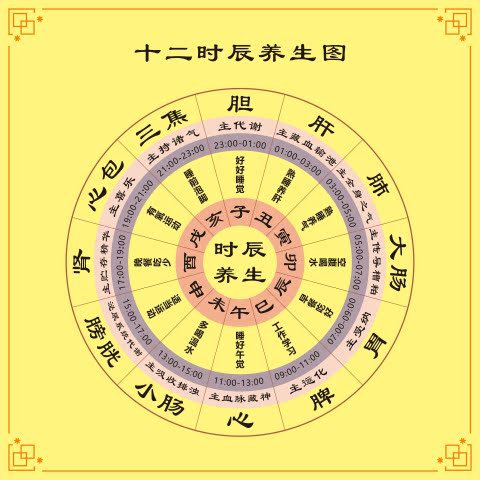 十二时辰养生知识装饰贴