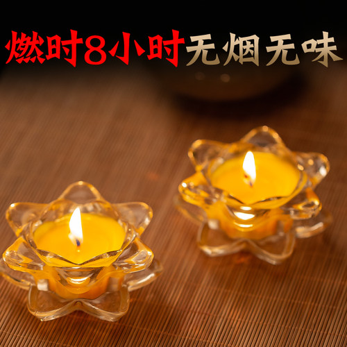 莲花灯蜡烛佛前植物玻璃