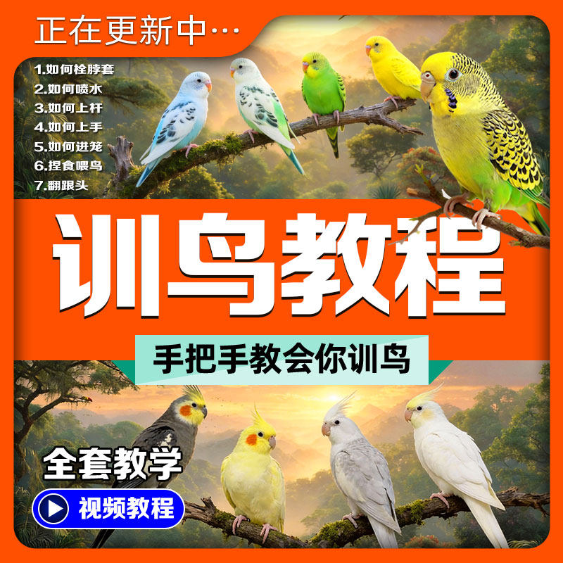 养鸟综合教程鸟主人的福音