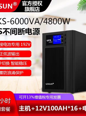 PDSD服务器电脑C6KS在线式UPS不间断电源6KVA4800W延时4小时套餐