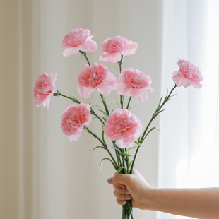 玐玖琦珥高级感仿真花保湿手感康乃馨母亲节装饰花艺摆件假花摆设