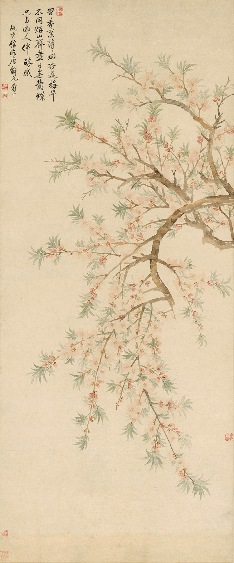 清恽寿平桃花图国画花鸟没骨画卉艺术微喷复制画宣纸画芯装饰画