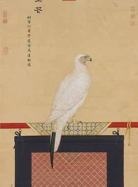 清郎世寧畫玉花鷹国画真迹原大复制画绢布画古画中式装饰字画