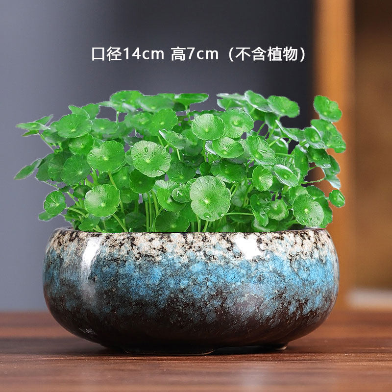 01款铜钱草专用盆水仙睡莲无孔多肉大号陶瓷水培器皿家用花盆清仓