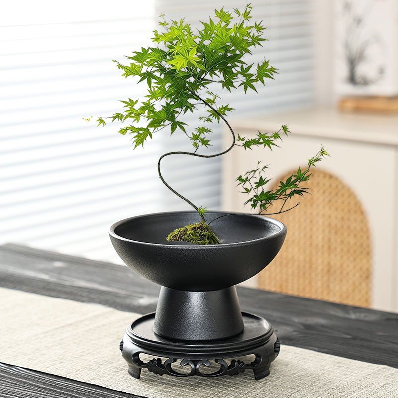 禅意流泉枫蕨类花盆陶瓷大号家用苔藓球佛手柑大口径盆景水培器皿