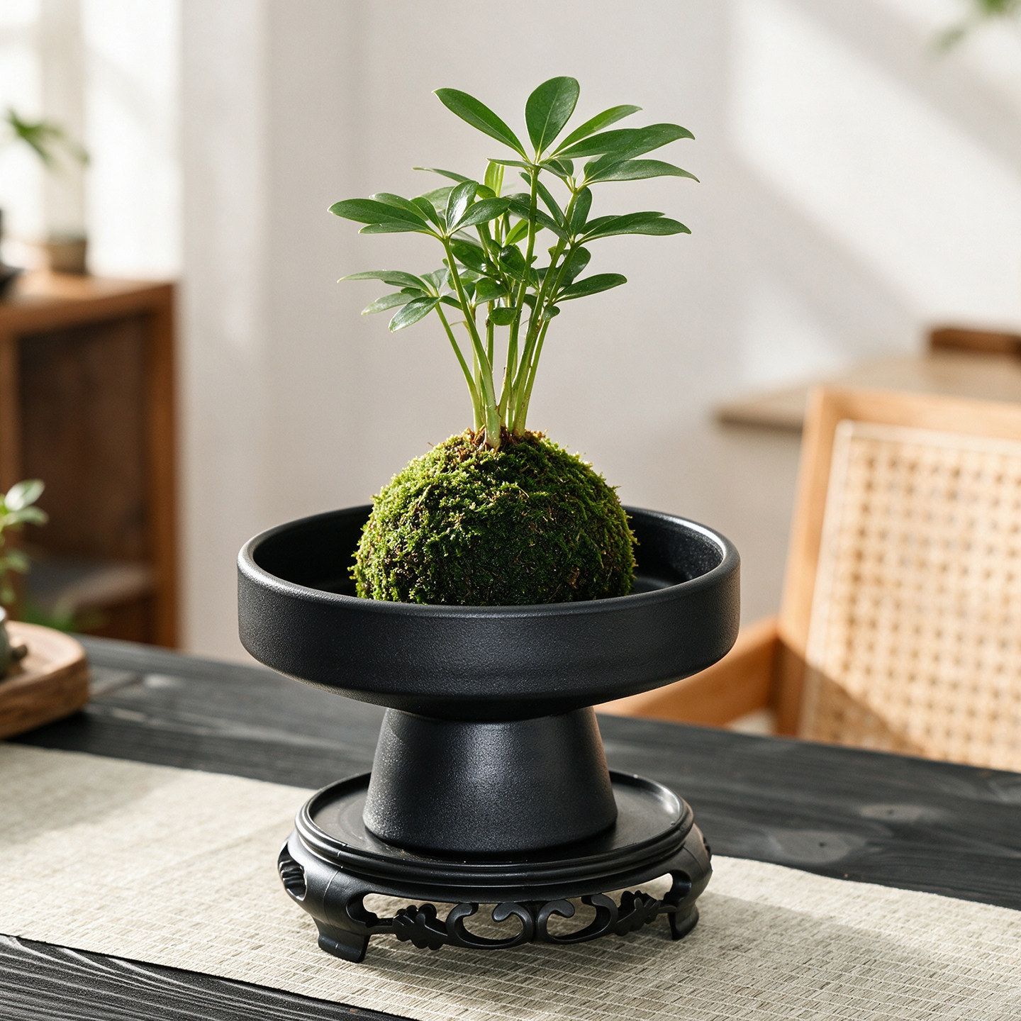 禅意蕨类苔藓球花盆陶瓷大号家用流泉枫佛手柑大口径盆景水培器皿