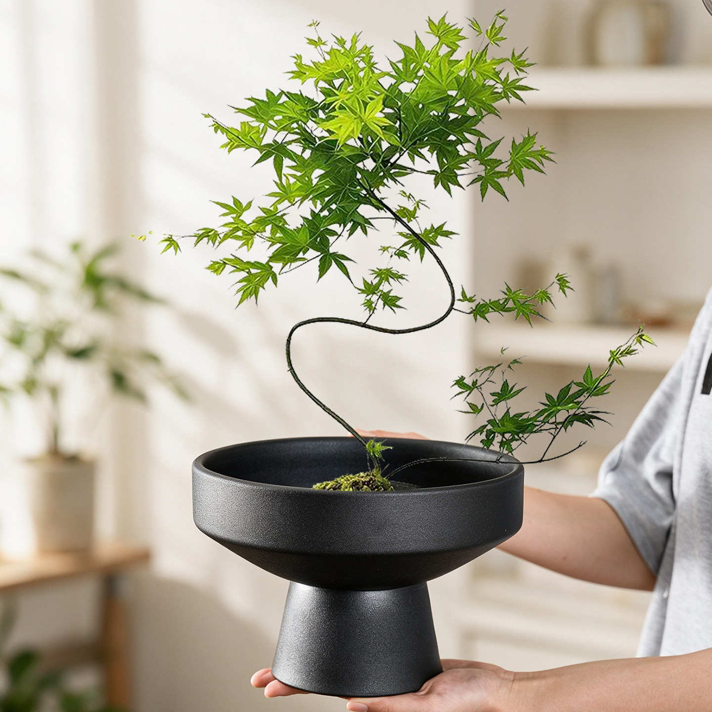 禅意流泉枫蕨类花盆陶瓷大号家用苔藓球佛手柑大口径盆景水培器皿