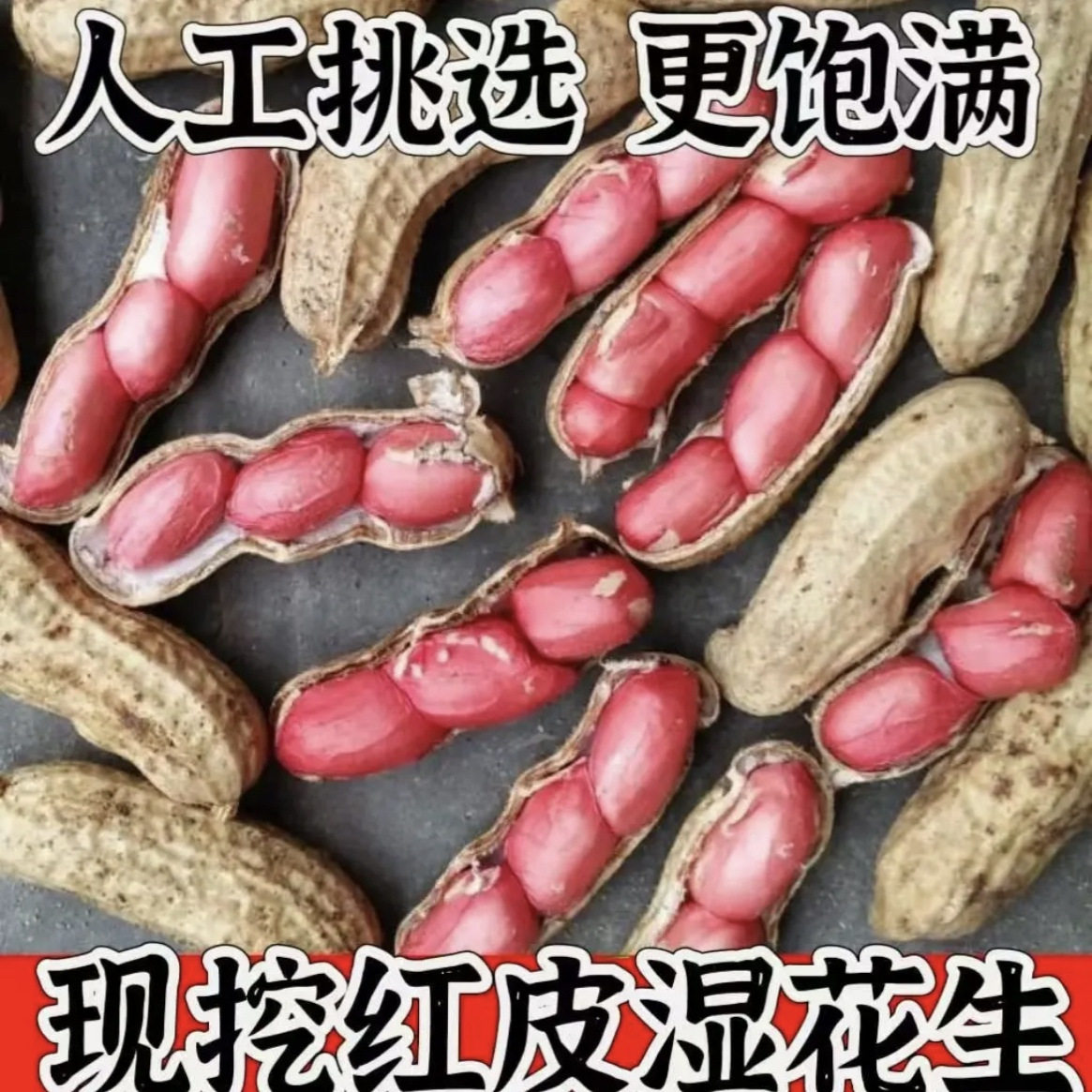 新鲜带壳湿花生农家自种红皮粉皮湿花生当季生花生嫩花生可水煮
