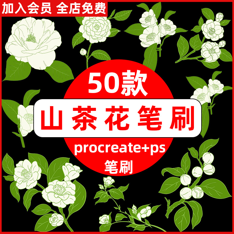 山茶花线稿procreate笔刷ps笔刷手绘国画山茶花线描线条花卉植物