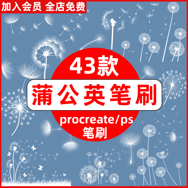 漫天飞舞蒲公英ps笔刷procreate笔刷 梦幻飘散飘落植物草本绘画