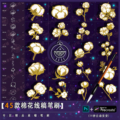 棉花线稿植物素雅花艺装饰鲜花手绘棉球插画procreate笔刷ps笔刷
