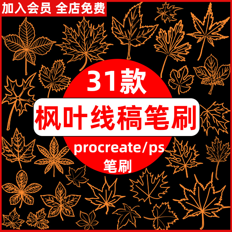 植物叶子枫叶树叶落叶线稿辅助线装饰插画素材procreate/ps笔刷