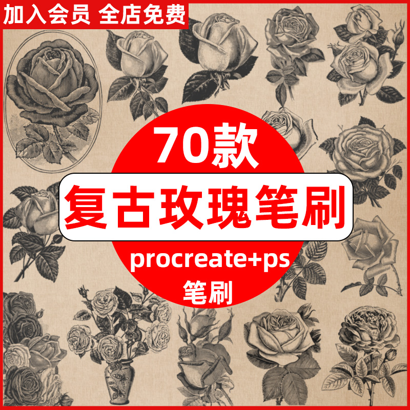 procreate笔刷ps笔刷欧式复古油画风玫瑰花朵花卉素描装饰插画
