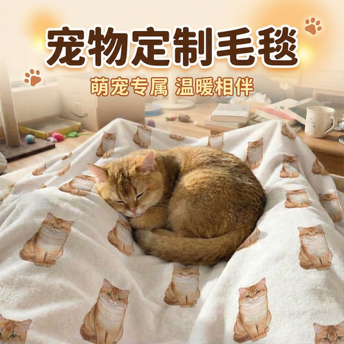 主子艺窝宠物定制法兰绒毛毯