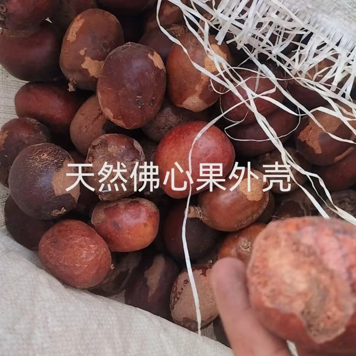 天然红皮佛心果金包玉大果菩提果菩提