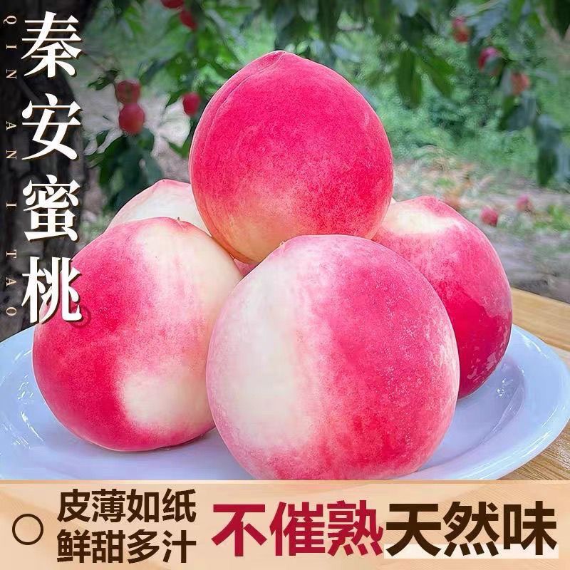 甘肃天水北京七号水蜜桃新鲜水果现摘现发