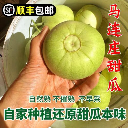 【顺丰】正宗马连庄甜瓜山东莱西甜瓜甜宝甜瓜脆甜孕妇新鲜水果