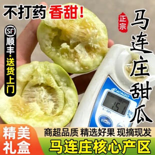 山东青岛莱西马连庄甜瓜蜜宝甜瓜应季孕妇新鲜水果甜宝香瓜礼盒装